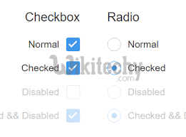  Checkbox Radio